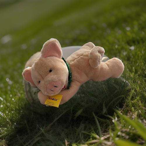 Neues sunkid schwein ferkel - sunkid,
