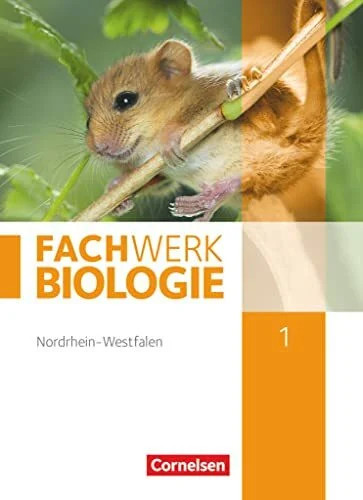 Fachwerk biologie - fachwerk,