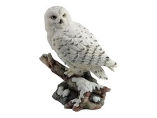 Schneeeule thront auf Ast