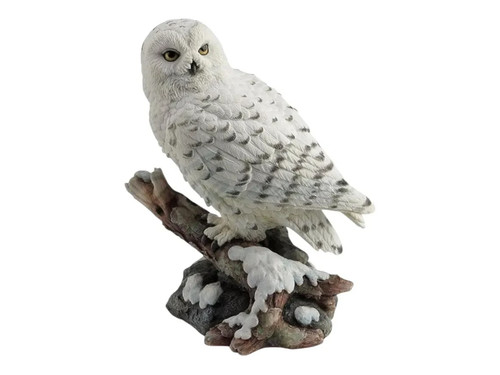 Schneeeule thront auf ast - thront,
