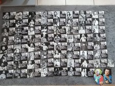 WWF Hasbro Figuren Sammlung + Wrestling Ring + Hasbro Bio Karten