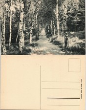 Ansichtskarte Rosswein/