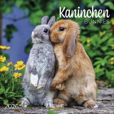 Kaninchen 2026