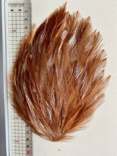 Antike schöne  Hut Feder bzw