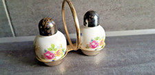 2  süße antike Salz- und Pfefferstreuer  - Thomas Porzellan Germany Rosenthal