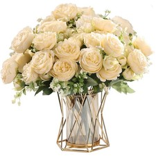 2 Bündel Pfingstrose