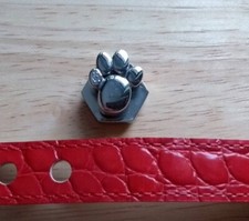 Energetix Magnetschmuck PFOTE mit Glitzer (OVP) für Halsband für Hund/Katze 