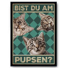 Bist du am Pupsen? Katzen