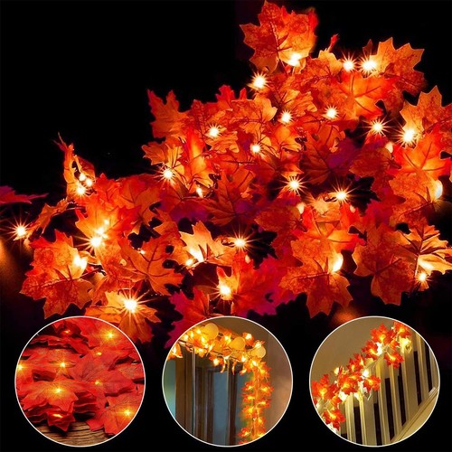 Lichterkette ahornblatt - lichterkette,