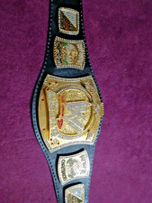 Custom WWE-Style Spinner