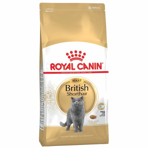 Royal canin british - canin, shorthair