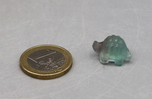 Fluorit schildkröte schildi - fluorit,