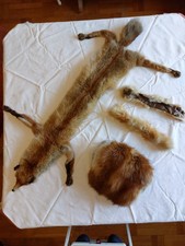 Fuchsstola mit Muff / Echtes