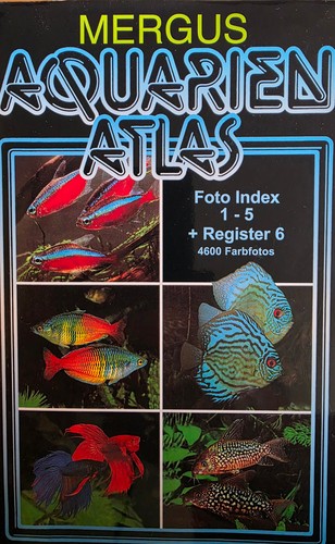Mergus aquarium atlas band - mergus,