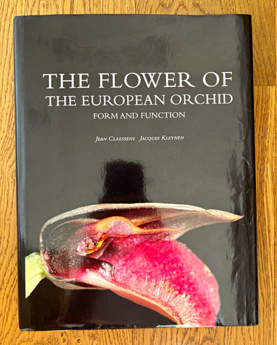 The flower european - flower,