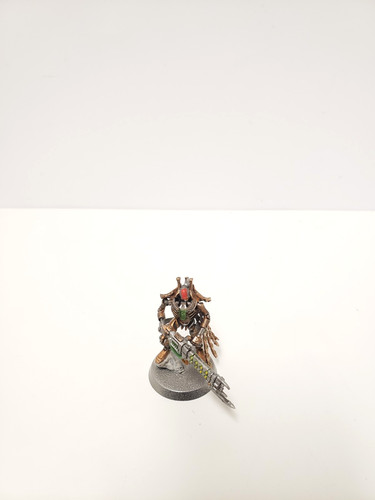 Royal warden königswächter - royal,