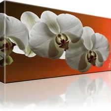 Orchidee Blume Bild Bilder Leinwand Keilrahmen Wandbild Kunstdruck