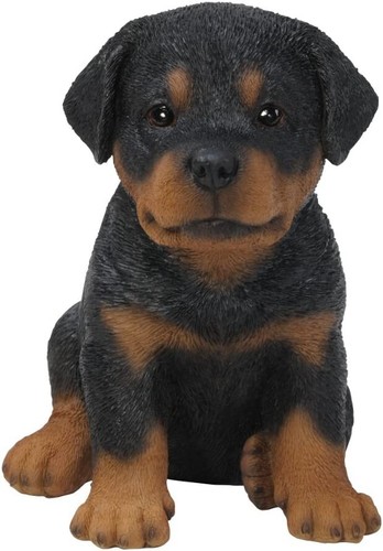 Vivid arts pet pals - arts,
