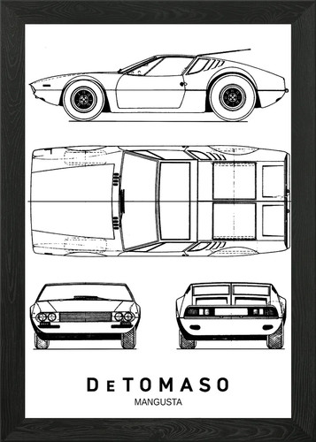 Brandneu tomaso mangusta - brandneu,