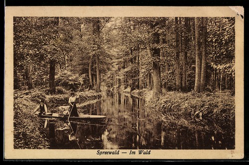 Ansichtskarte wald paar - im, wald,