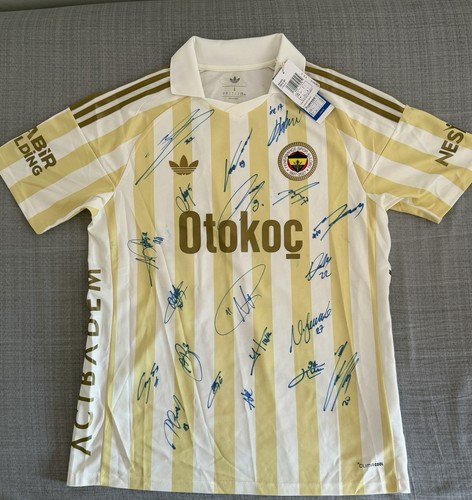 Fenerbahce trikot asendio 10 - asendio, #10