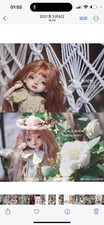 Luludaodoll BJD Puppe / BJD