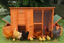 Hühnerstall rollbares