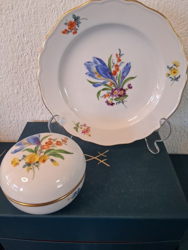 Meissen wahl meissener - meissen,