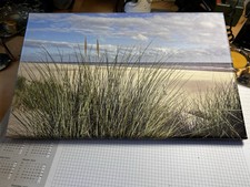 Wandbild Rügen Blumenwiese 40 mal 25 cm