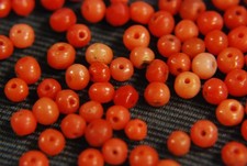 15 Stk. echte Koralle