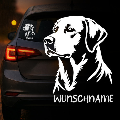 Labrador retriever hund auto - retriever,