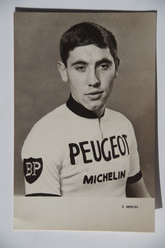 Eddy merckx autogrammkarte - -,