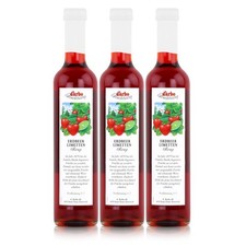 Darbo Erdbeer Limetten Sirup