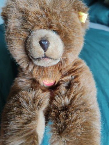 Original steiff bär molly - original,