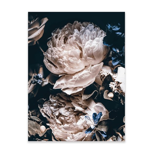 Poster blumen 30x40 - 30x40, 50x70