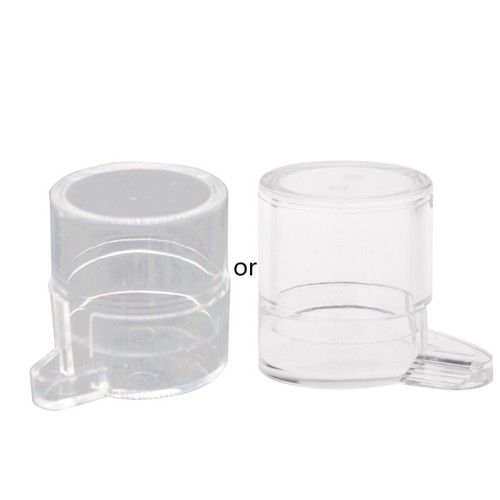 Ant feeder water feed - water, for
