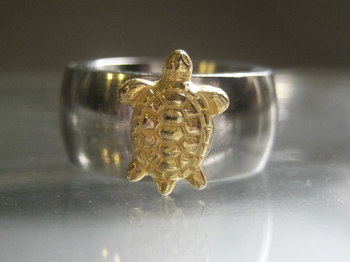 Nette kleine schildkröte - schildkröte,