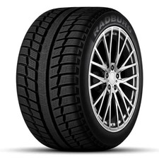 225/45 R18 RADBURG  ECO POWER