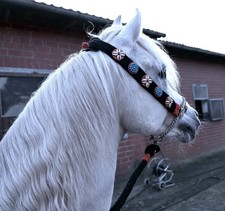 Araber Halfter Schauhalfter