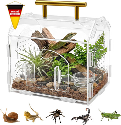Reptilien terrarium aus acryl - reptilien,