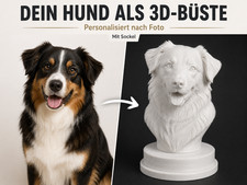 Hund Büste vom Foto