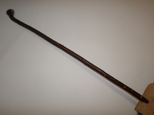 Blackthorn knopf gehstock - blackthorn,