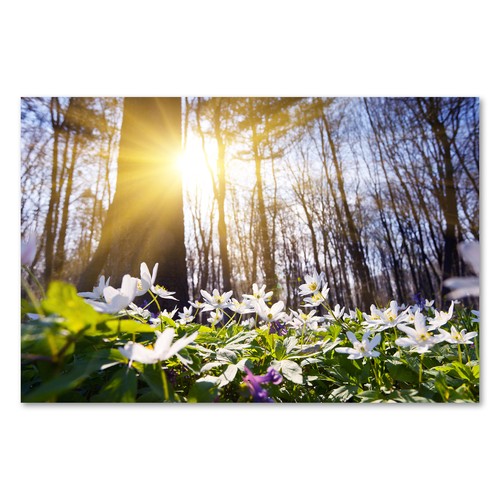Postereck 1075 poster leinwand - postereck,