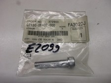 Schraube E2099 Suzuki VS 1400