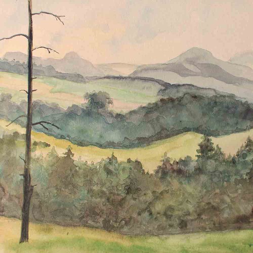 Landschaft berge wald original - wald,