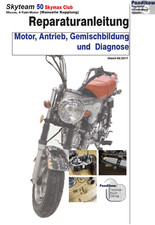 Reparaturanleitung RIS für