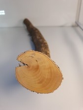 1 Stamm Drechselholz Buchsbaum