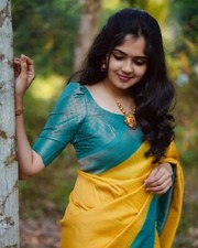 Bollywood Saree Bluse Indisch