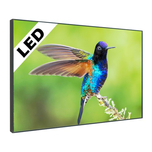 Led wandbild bunter vogel ast - bunter,