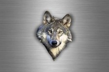 Aufkleber Auto Motorrad Tuning